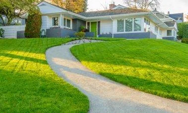 From Wild to Wow: Transform Your Lawn With Professional Lawn Mowing Service