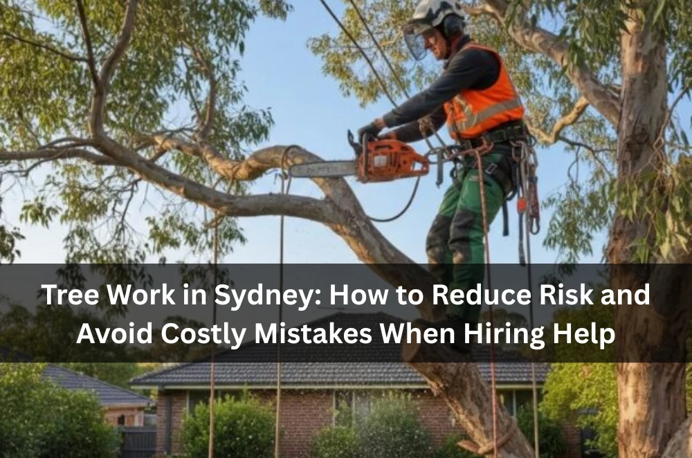 Tree Work in Sydney: How to Reduce Risk and Avoid Costly Mistakes When Hiring Help