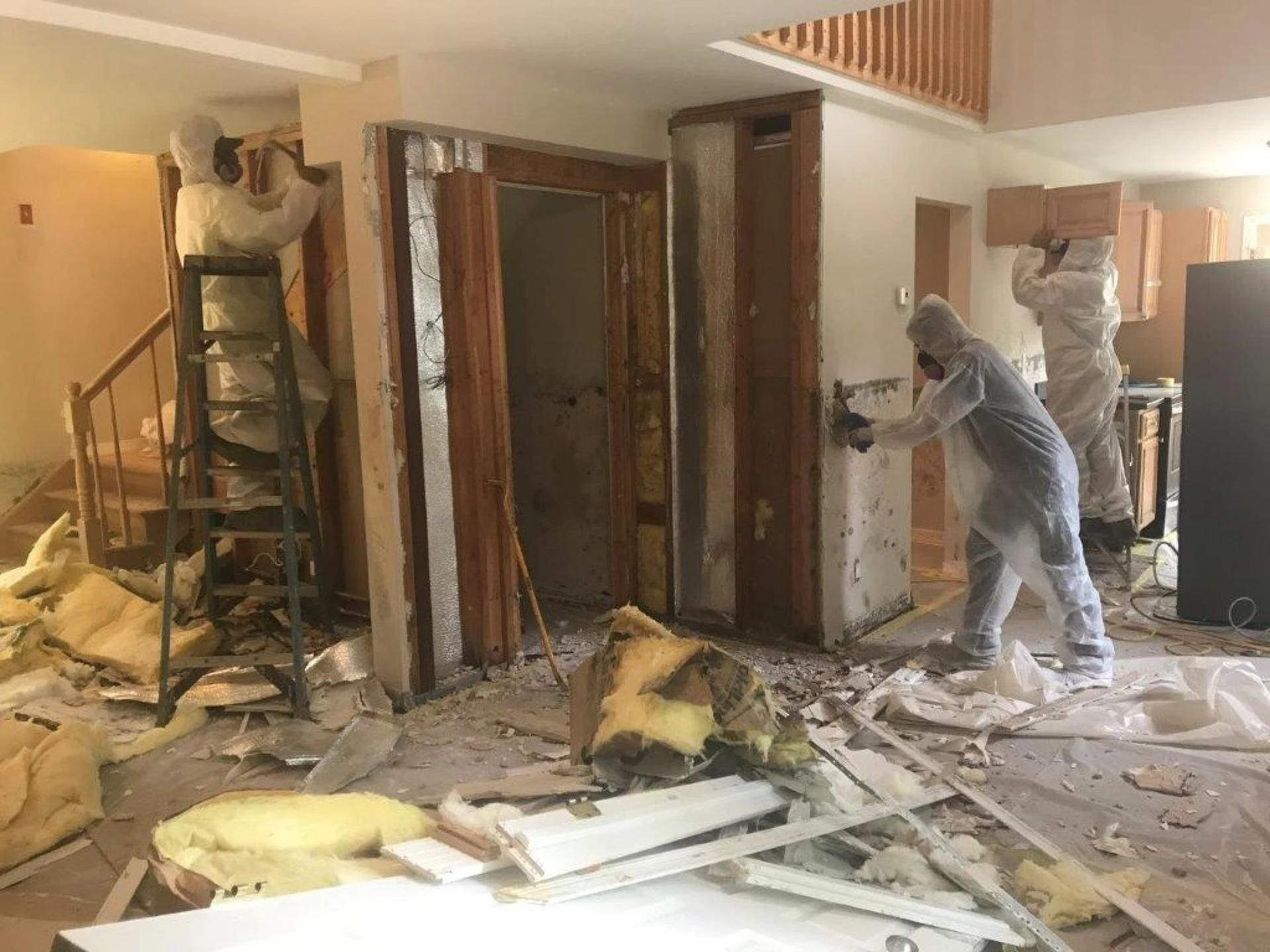 Mold Remediation in Toms River, NJ: Protecting Your Property and Health