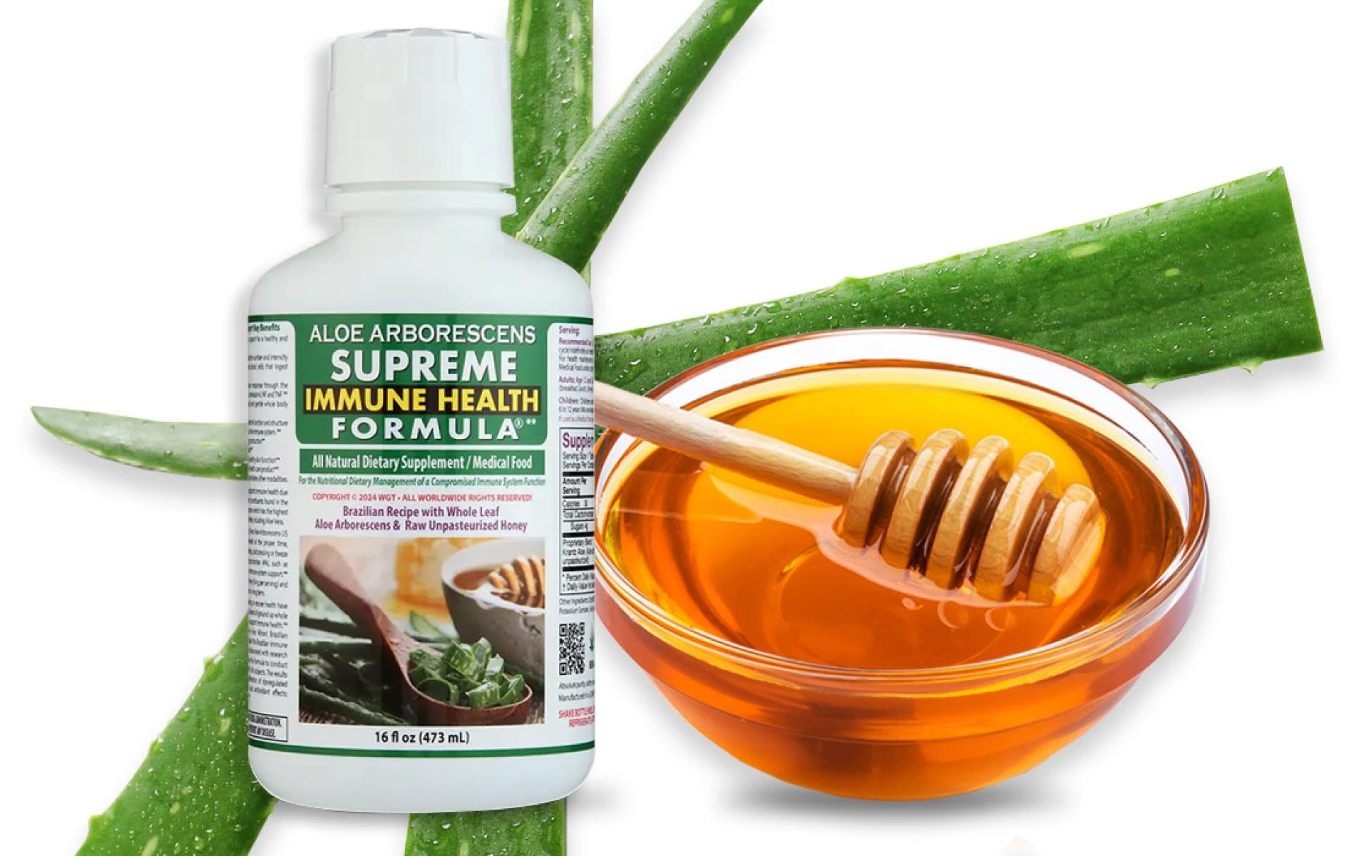Why Aloe Arborescens Is Popular for Wellness Support