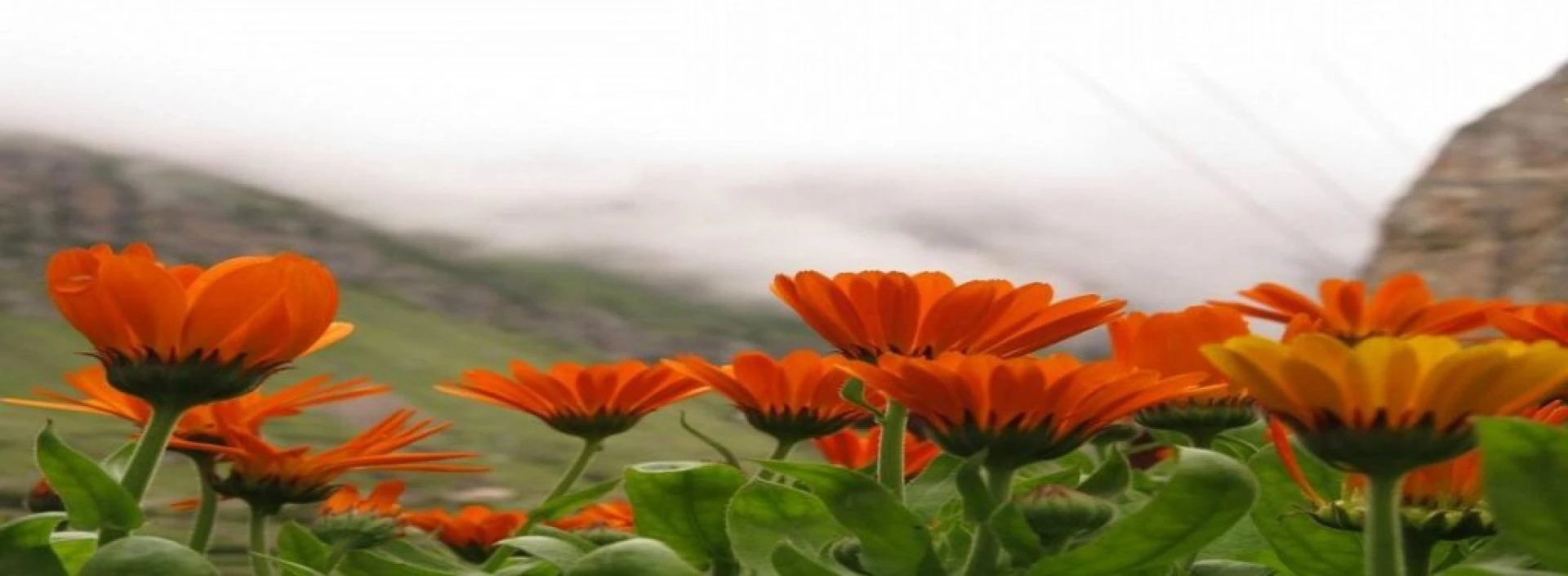 Where Smart Properties Thrive: Expert Real Estate Management in Dubai