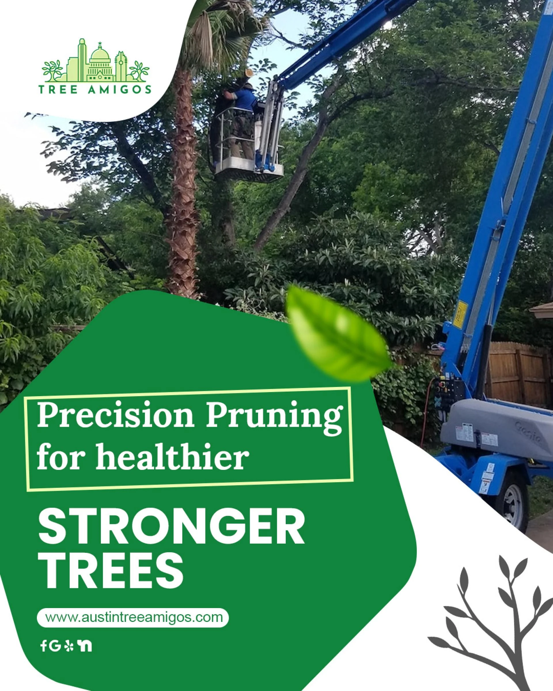 When Tree Pruning and Removal Becomes Necessary for Aging Shade Trees in Central Texas