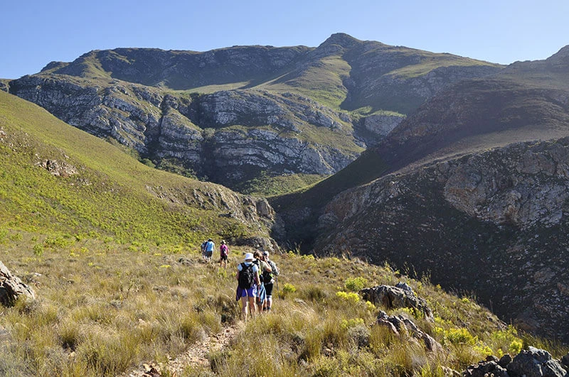 Discover the Beauty of South Africa with Green Mountain A Travel Guide for Visitors from the UK, Holland, Germany, Australia, USA and Ireland
