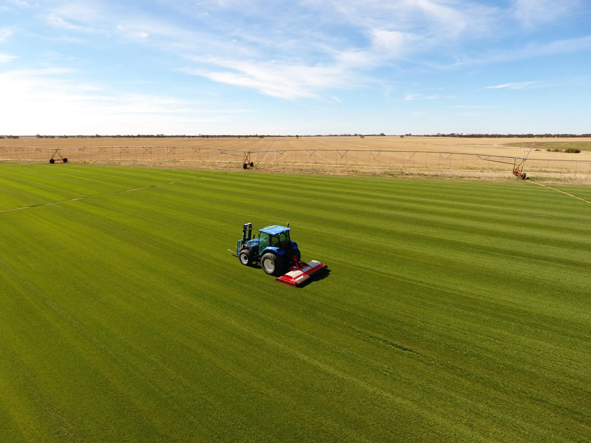 From Soil Preparation to Installation: How Expert Lawn Suppliers Deliver Quality Turf Solutions for Homes and Businesses