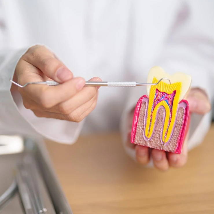 Expert Endodontic Care for Lasting Relief for Root Canal in Bethlehem