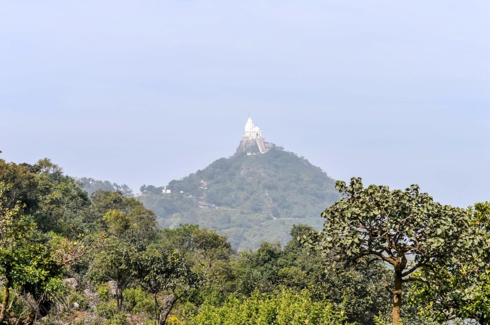 Sammed Shikharji Yatra and Ashtapad Yatra - Sacred Jain Pilgrimage Guide