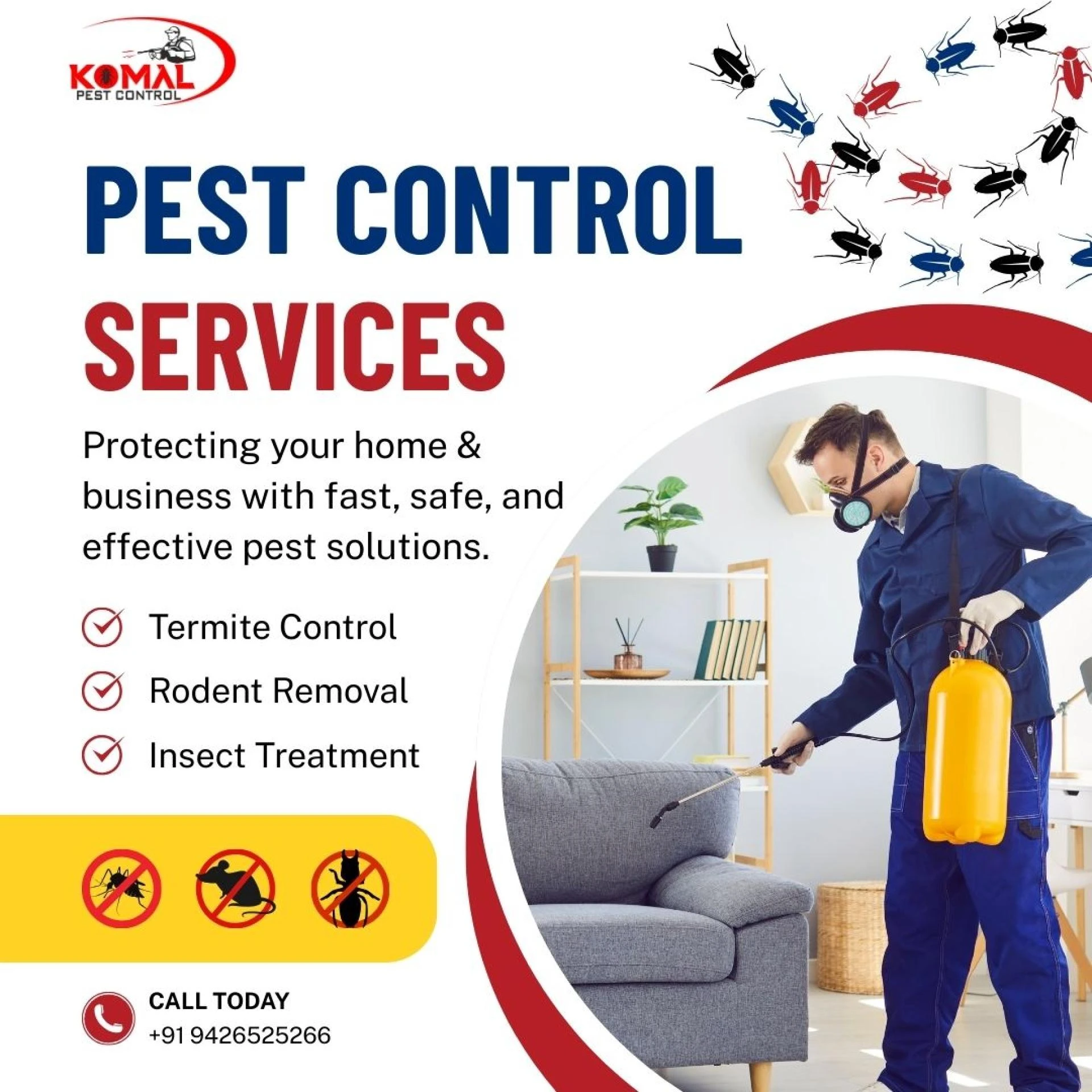 Expert Pest Control Services in Ahmedabad for Complete Protection