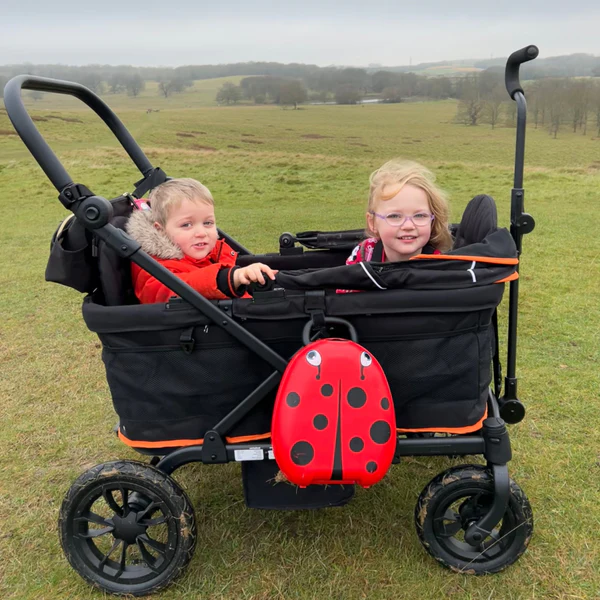5 Reasons Why Every Family Needs a Children’s Wagon