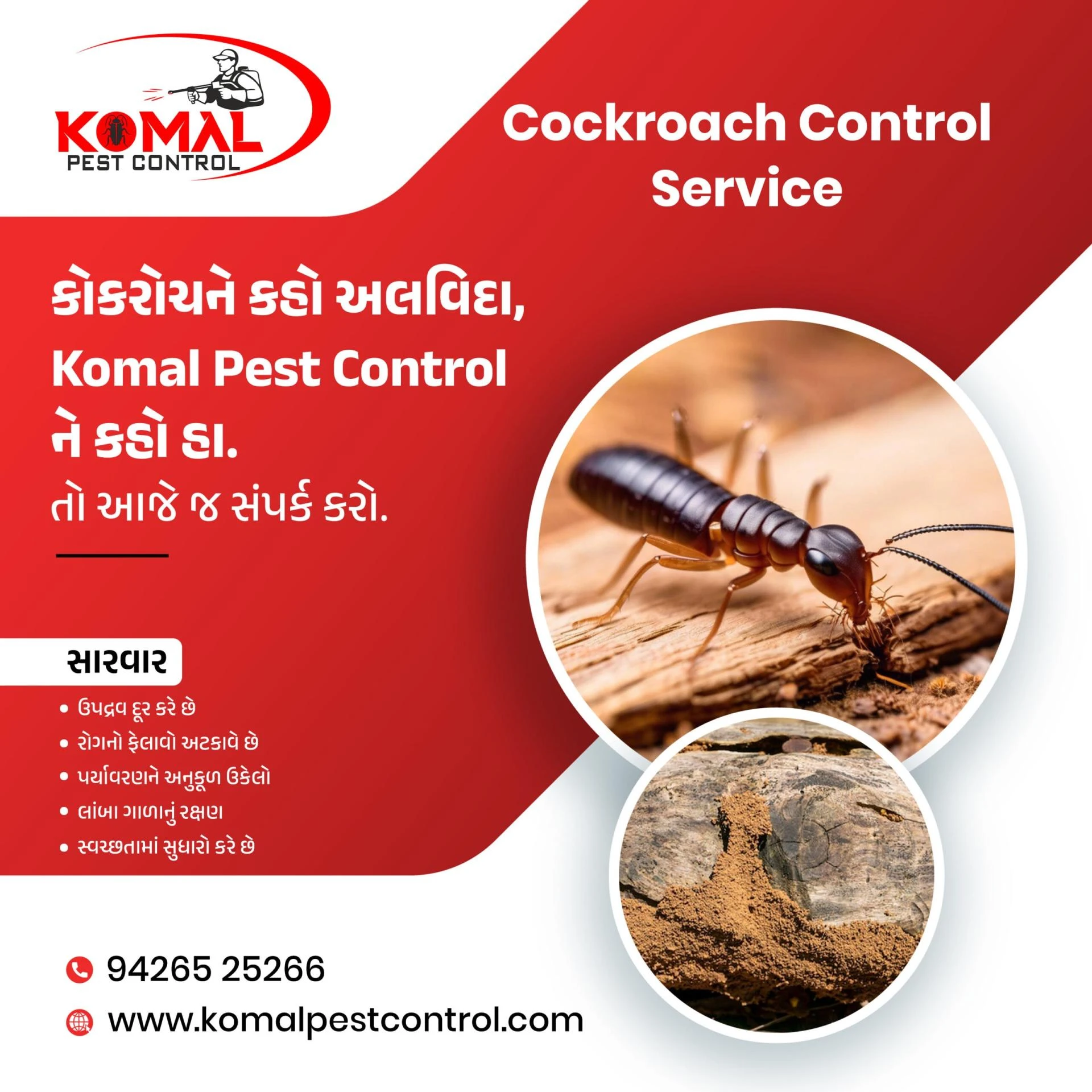 Effective Cockroach Control Services in Ahmedabad, Gujarat