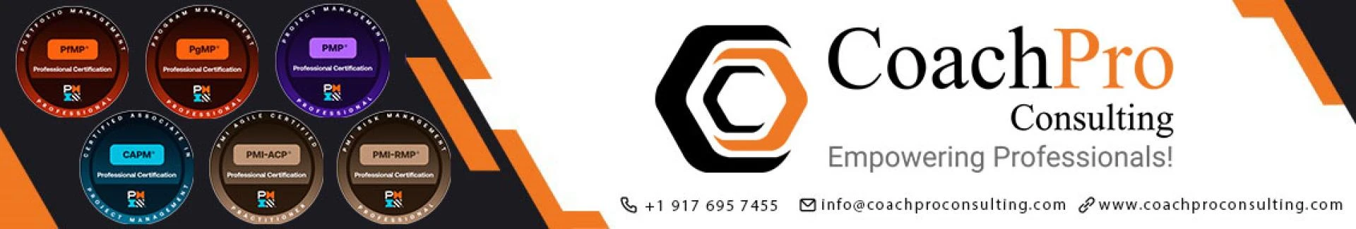 Program Management Training for Strategic Leadership and Certification by CoachPro Consulting