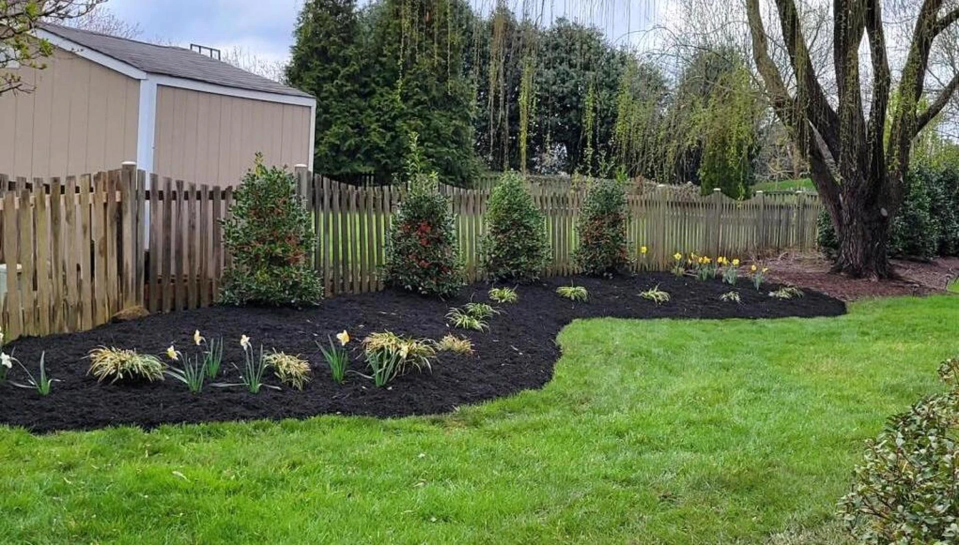 Why Professional Tree Care Is Essential for Your Property