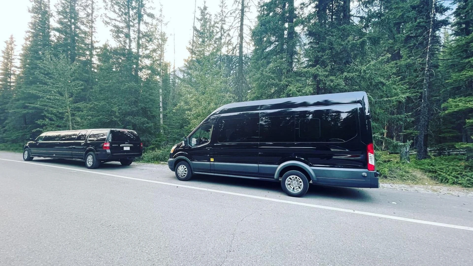 Airport Limo vs Taxi: Which Transportation Option Is Better for Travelers?