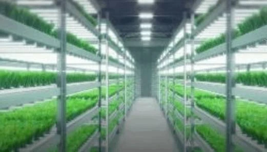 Clean Water Solutions for Safer Communities and Sustainable Living