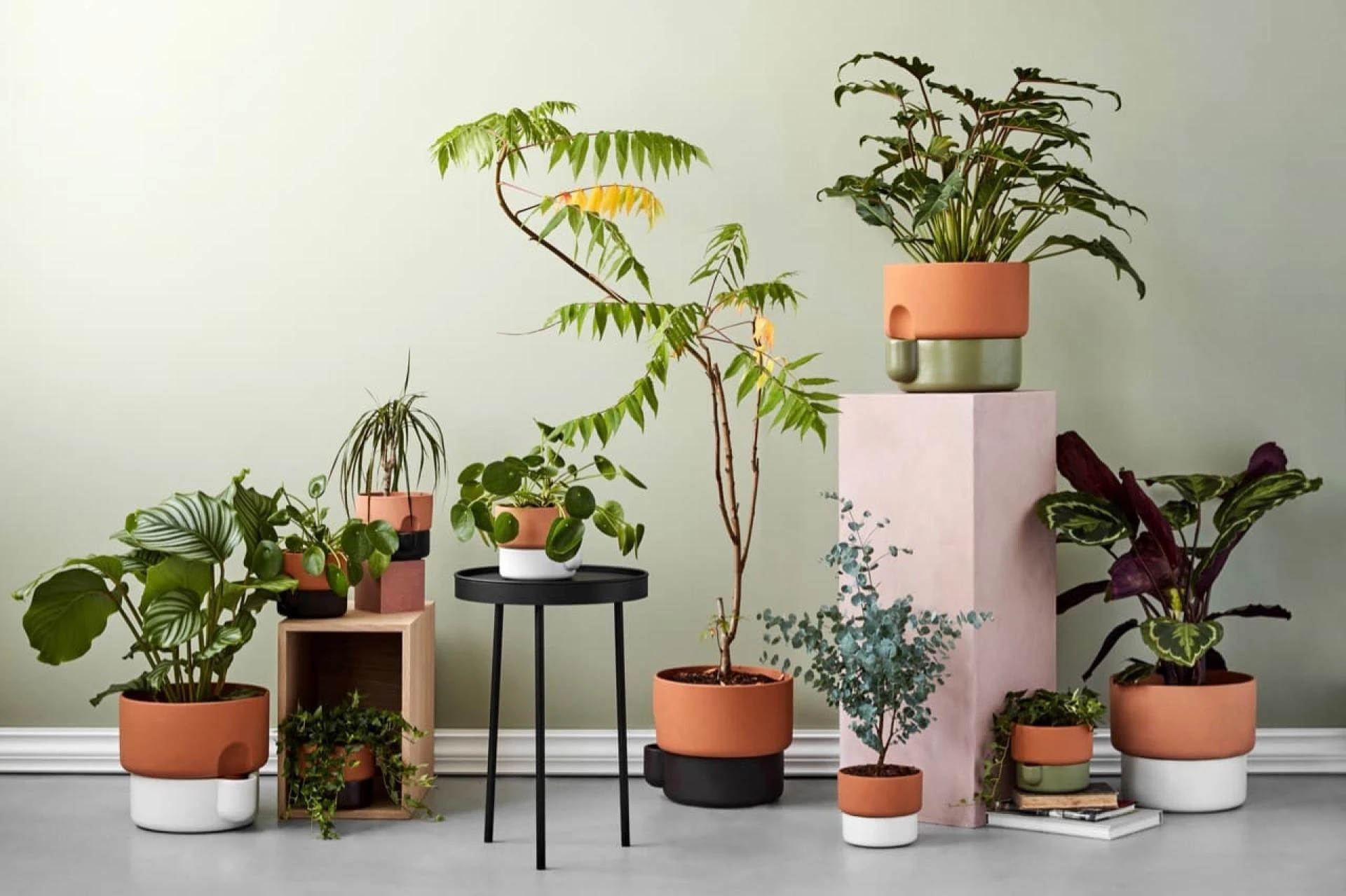 Benefits of Using Indoor Terracotta Planters for Indoor Plants