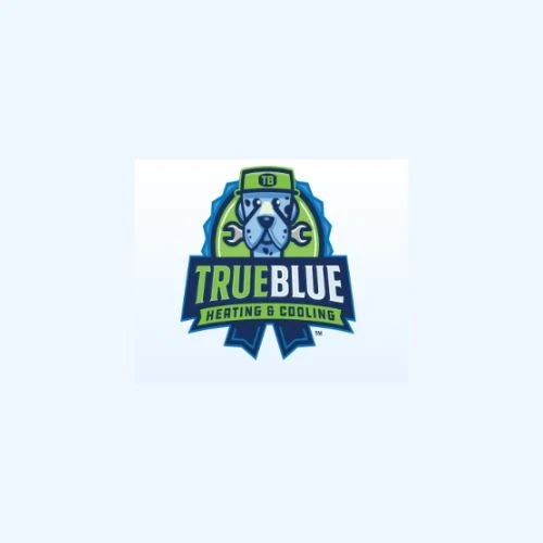 Seasonal Heat Pump Tips: A Complete Guide from True Blue Heating and Cooling