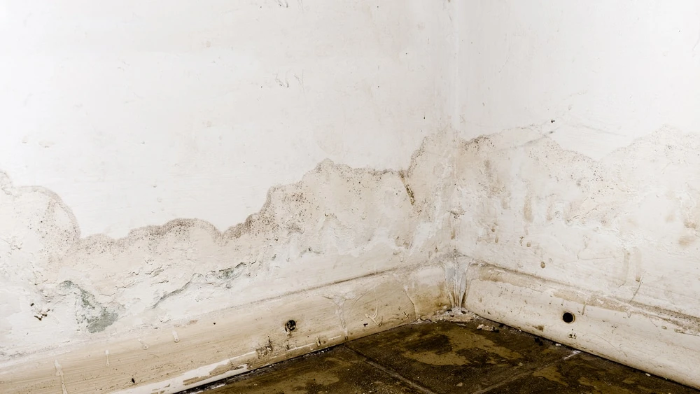 About Drywall Water Damage: Signs And Reasons To Call A Professional!