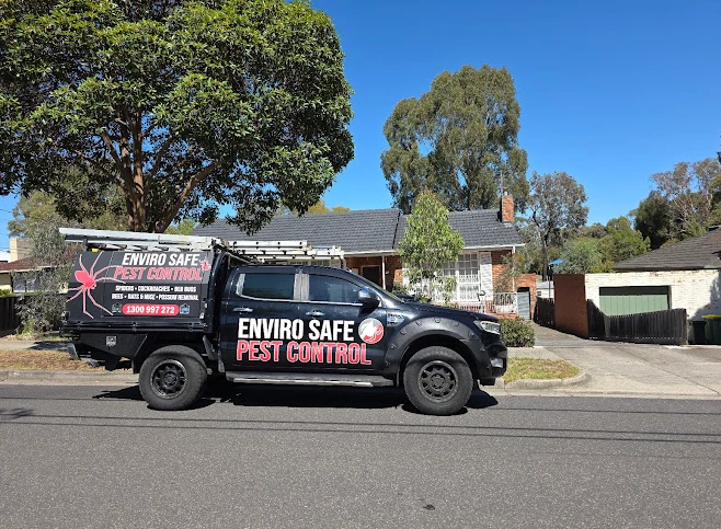 Why Regular Pest Inspections Are Essential for Melbourne Homes