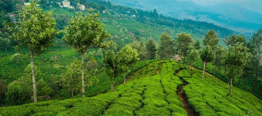 Top 10 Hill Stations in South India