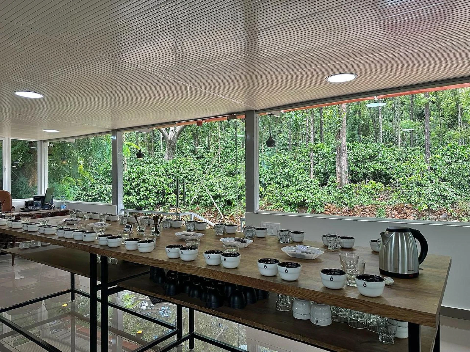 Coffee Beans Guide: How to Choose the Best Coffee Bean from Top Coffee Roasters India