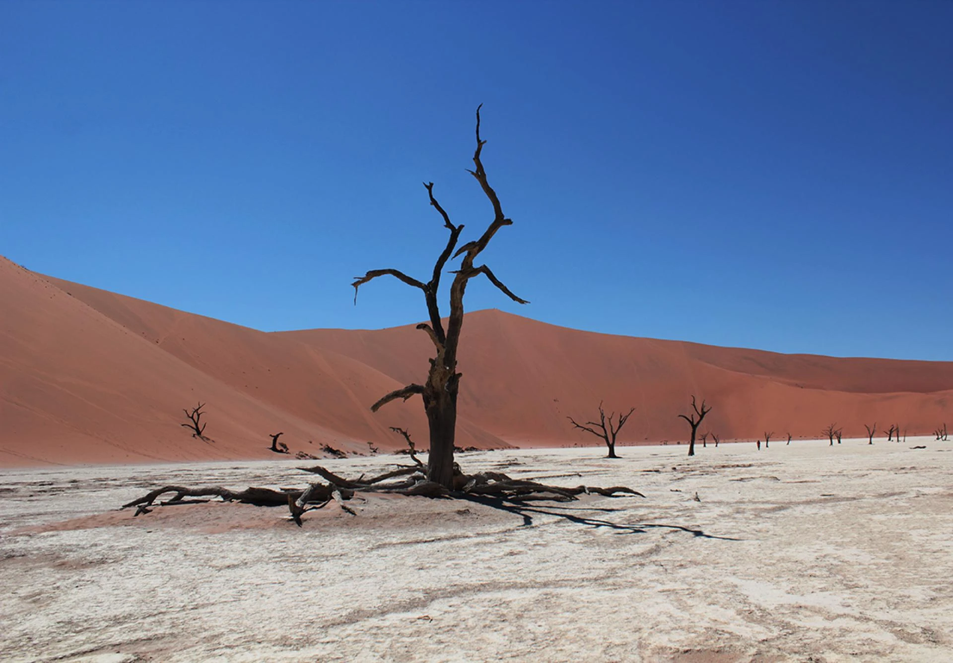 Namibian e-Visa Guidance for South Korean Nationals – Visa Guide