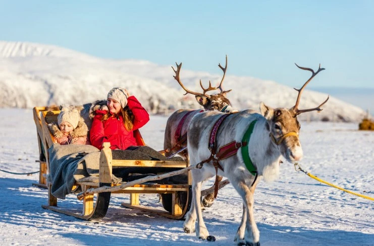 Lapland Guided Holiday Experience Northern Lights Reindeer Safaris Arctic Adventures