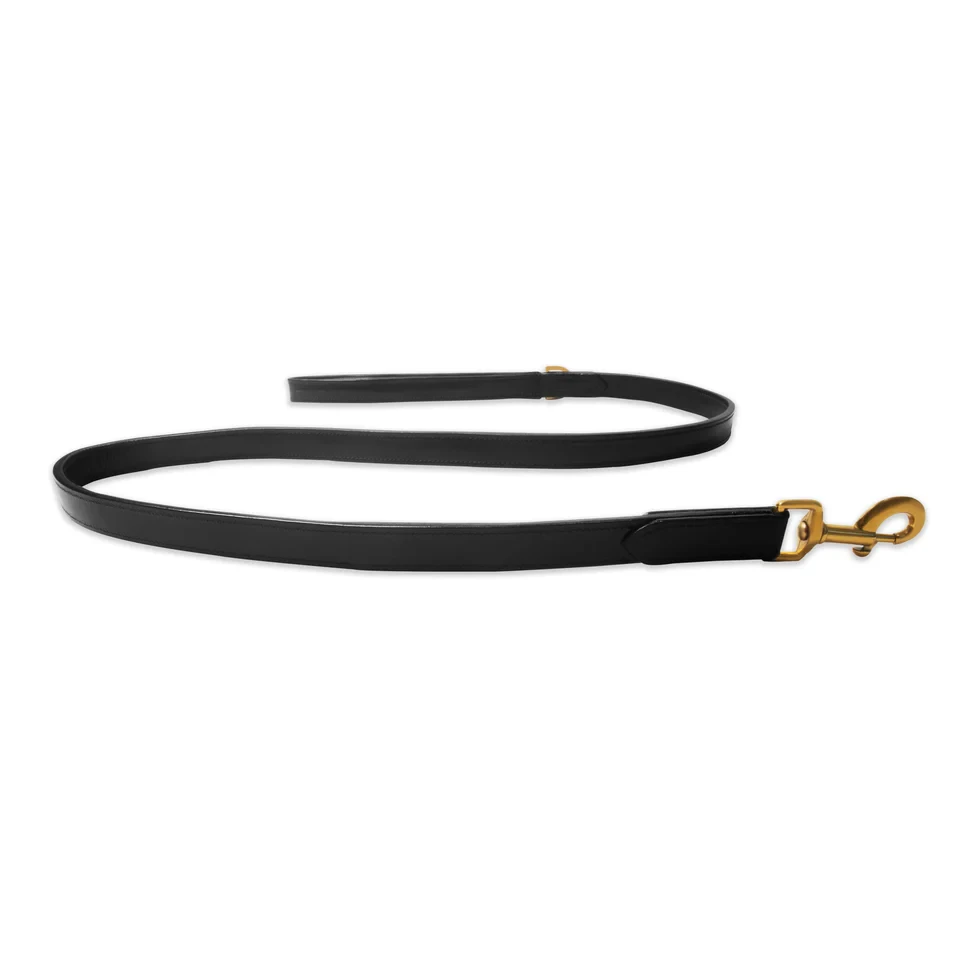 Leather Dog Leash: A Durable and Stylish Choice for Every Dog Owner