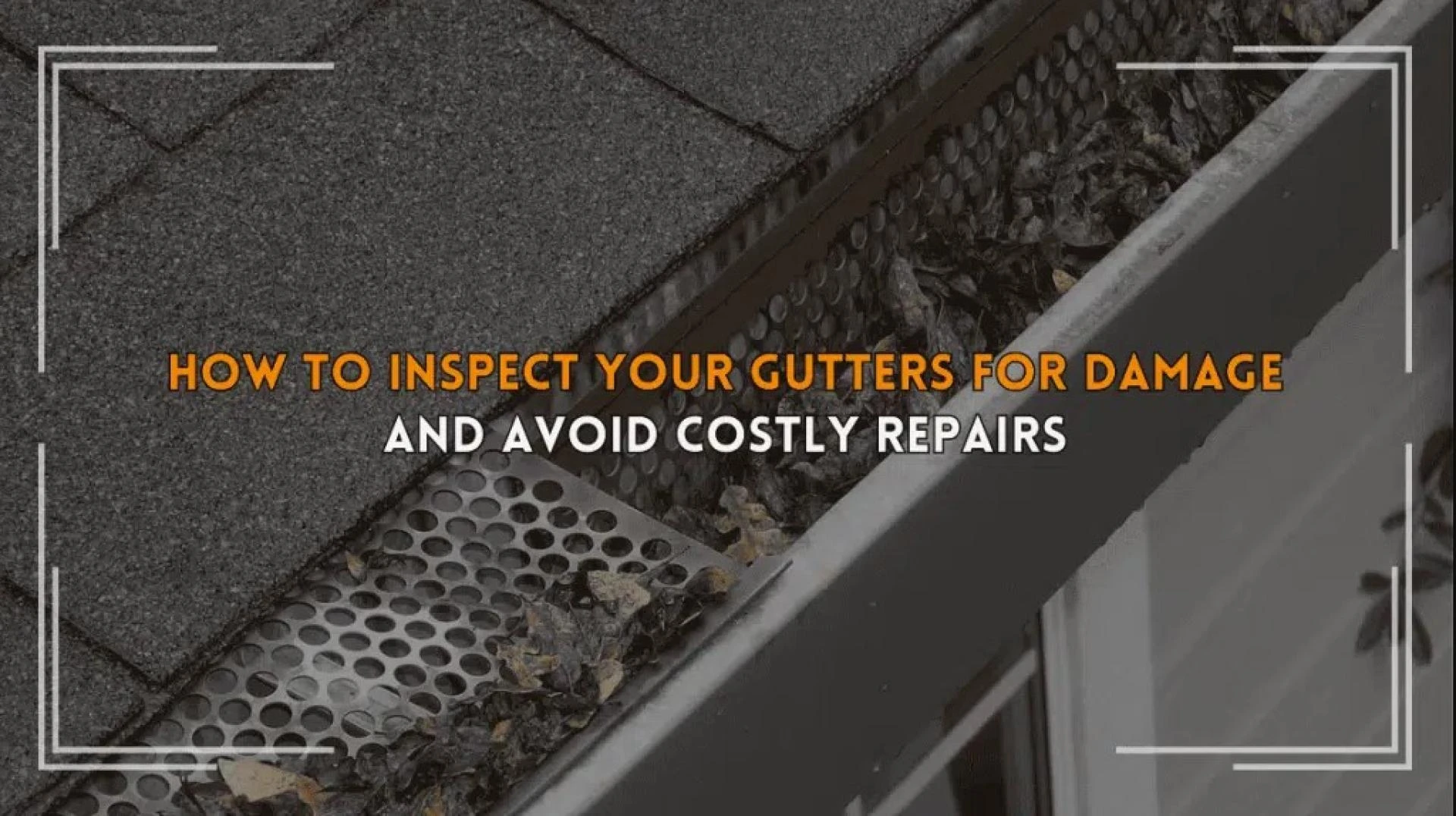 How to Check Your Gutters for Damage and Prevent Expensive Repairs