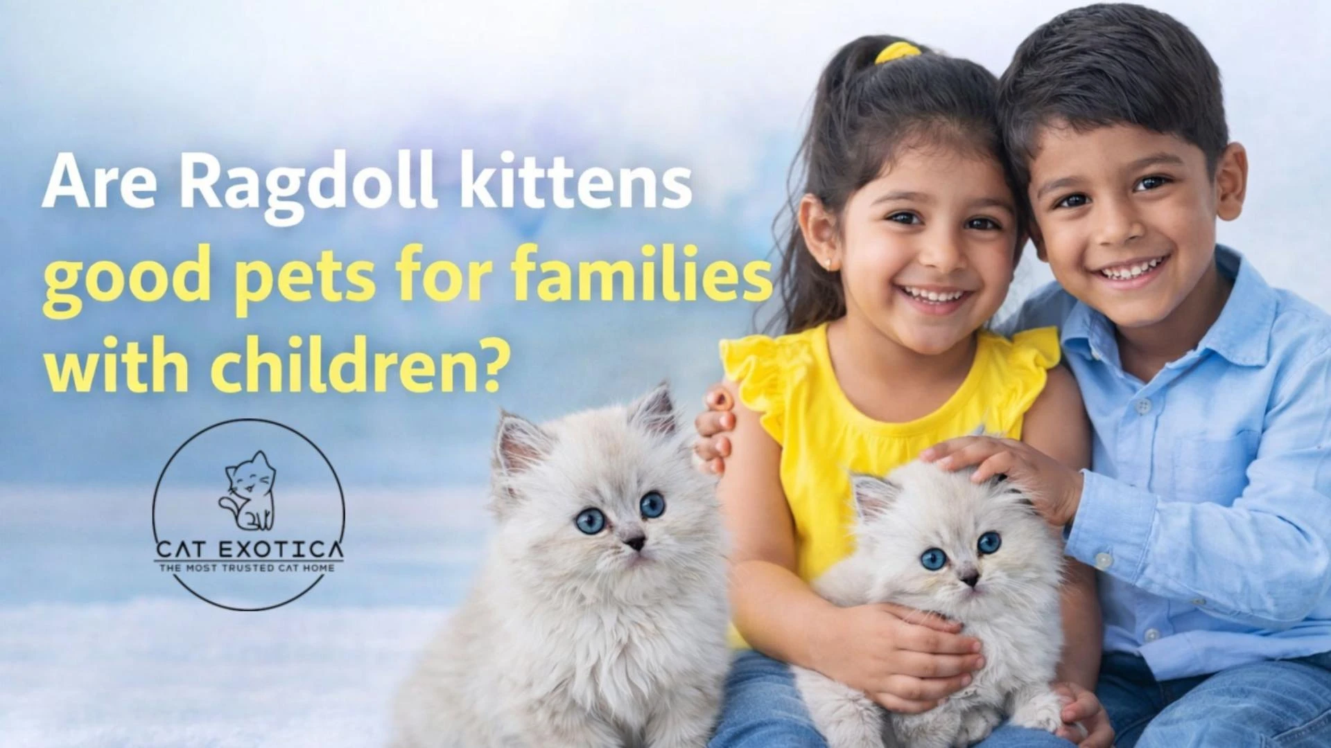 Are Ragdoll Kittens Good Pets for Families with Children?