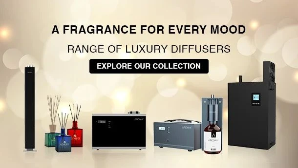 The Fragrance That Turned a House into a Sanctuary