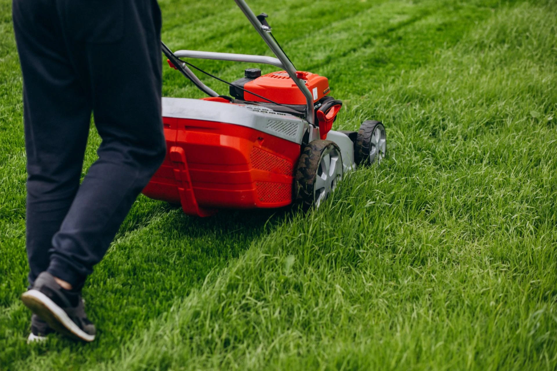 From Messy to Fresh: The Power of Professional Lawn Clean Up Services