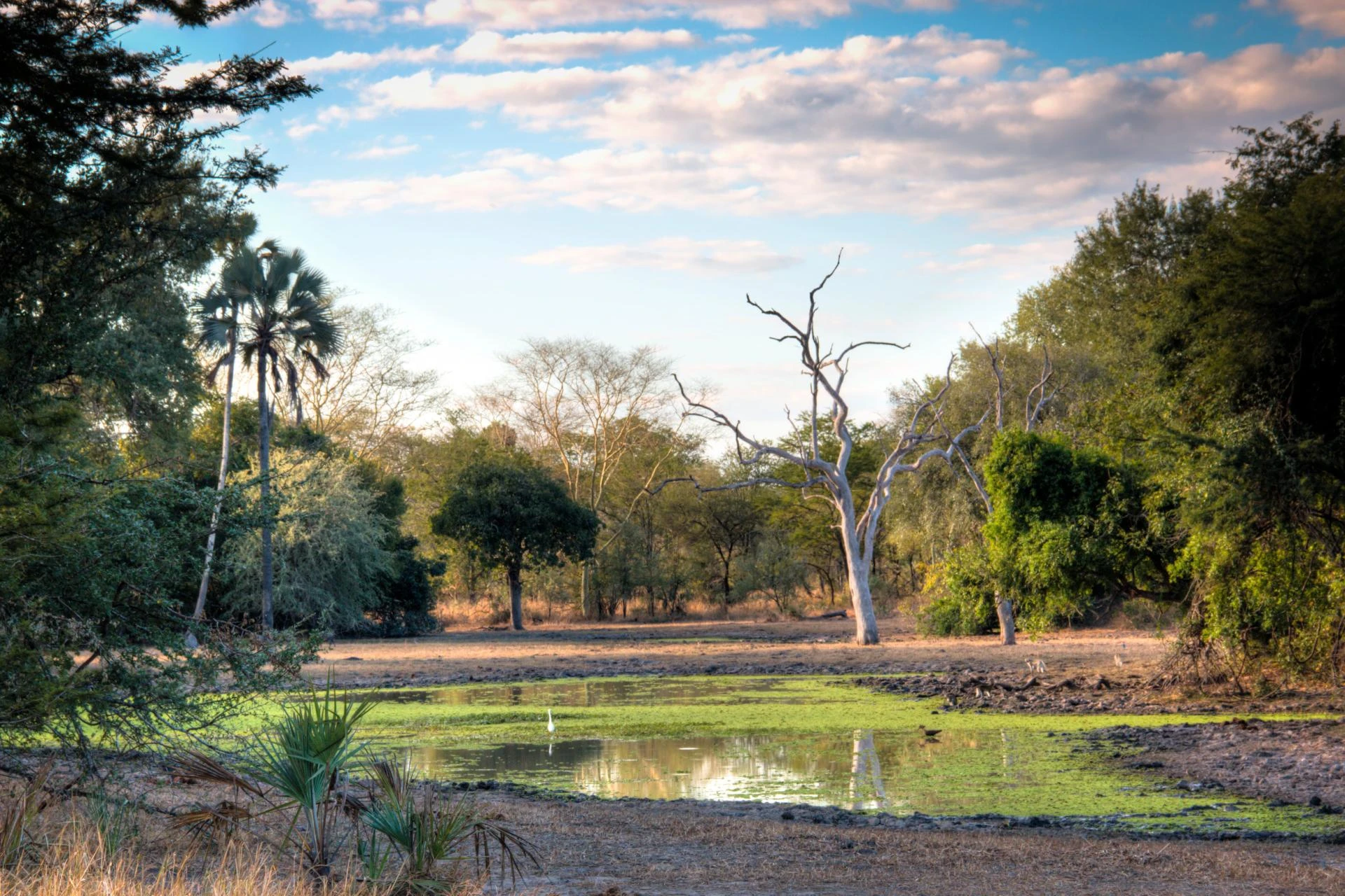 Mozambique Visa Online for American Samoa Citizens – eVisa Guide