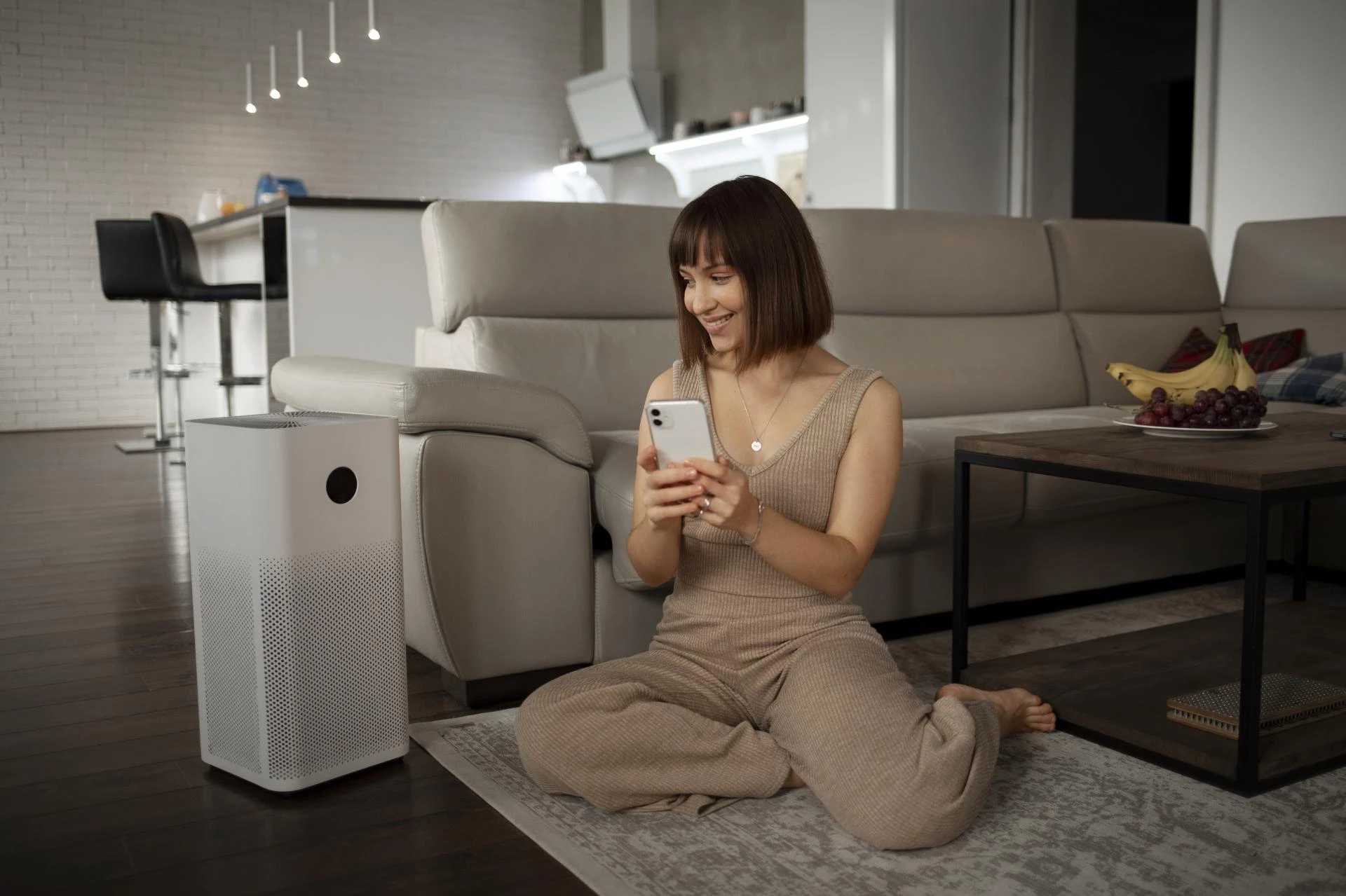 Why Every Home Needs an Air Purifier This Season