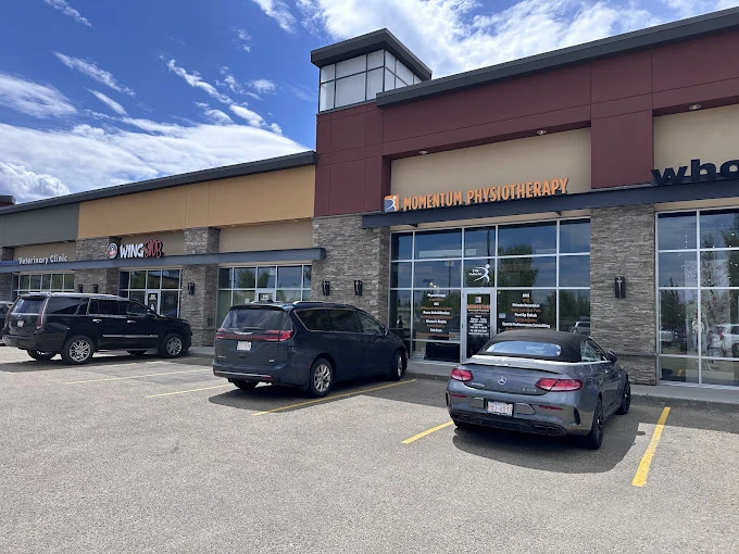 Getting Back to Daily Life After a Collision: What Your Recovery Path May Look Like