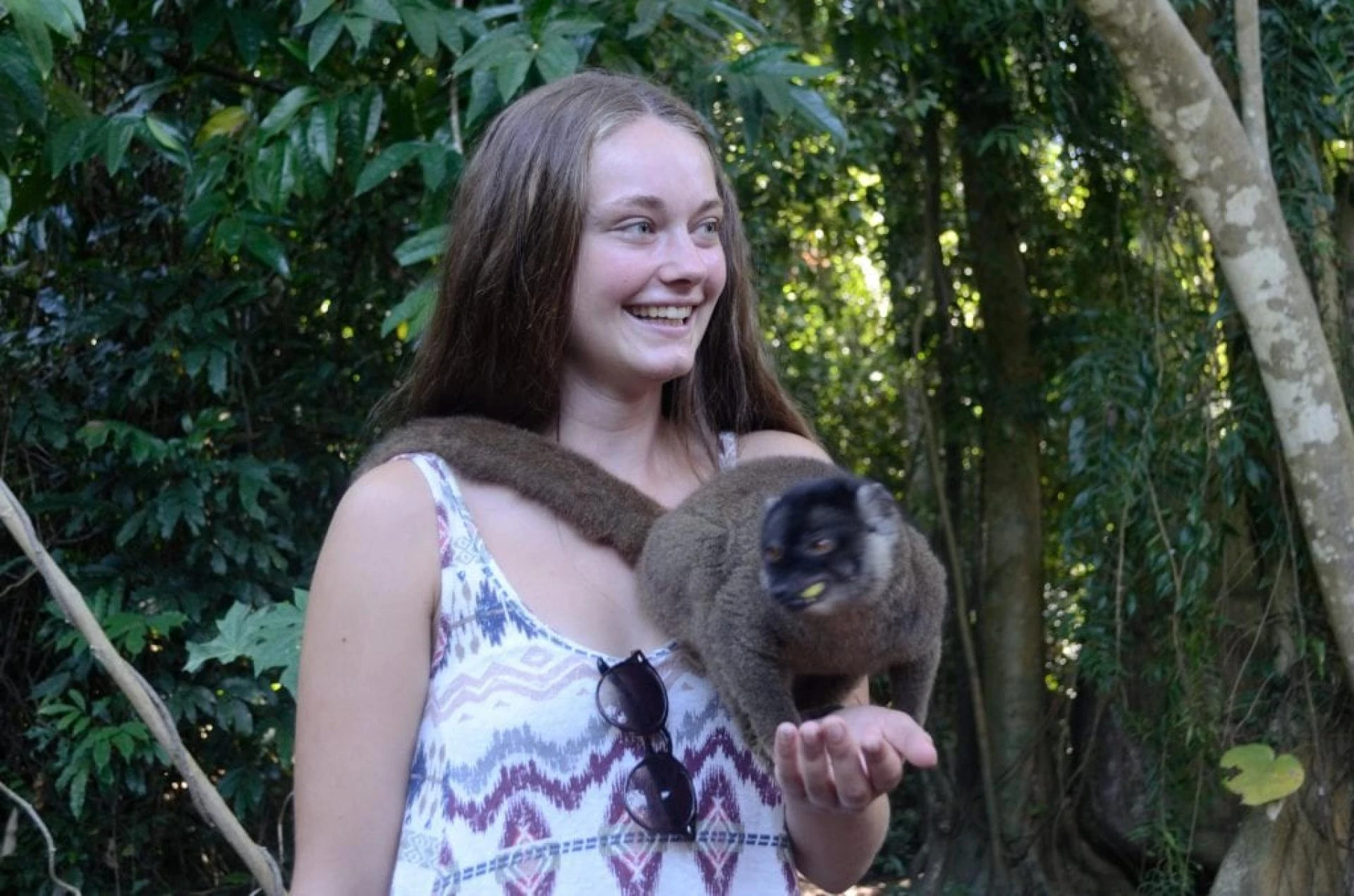 Animal Volunteering Abroad: Travel with Purpose and Protect Wildlife