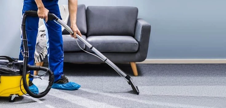 Why Choose a Carpet Cleaning Service in Miami FL for Deep Carpet Care