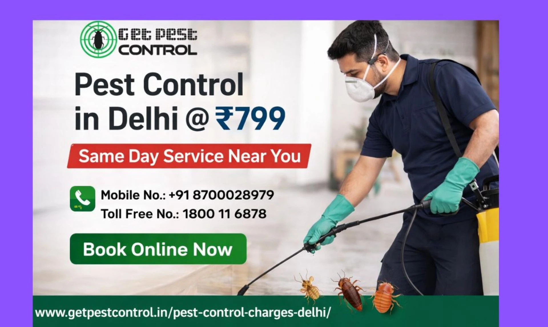 Pest Control in Delhi @ ₹799 | Same Day Service Near You