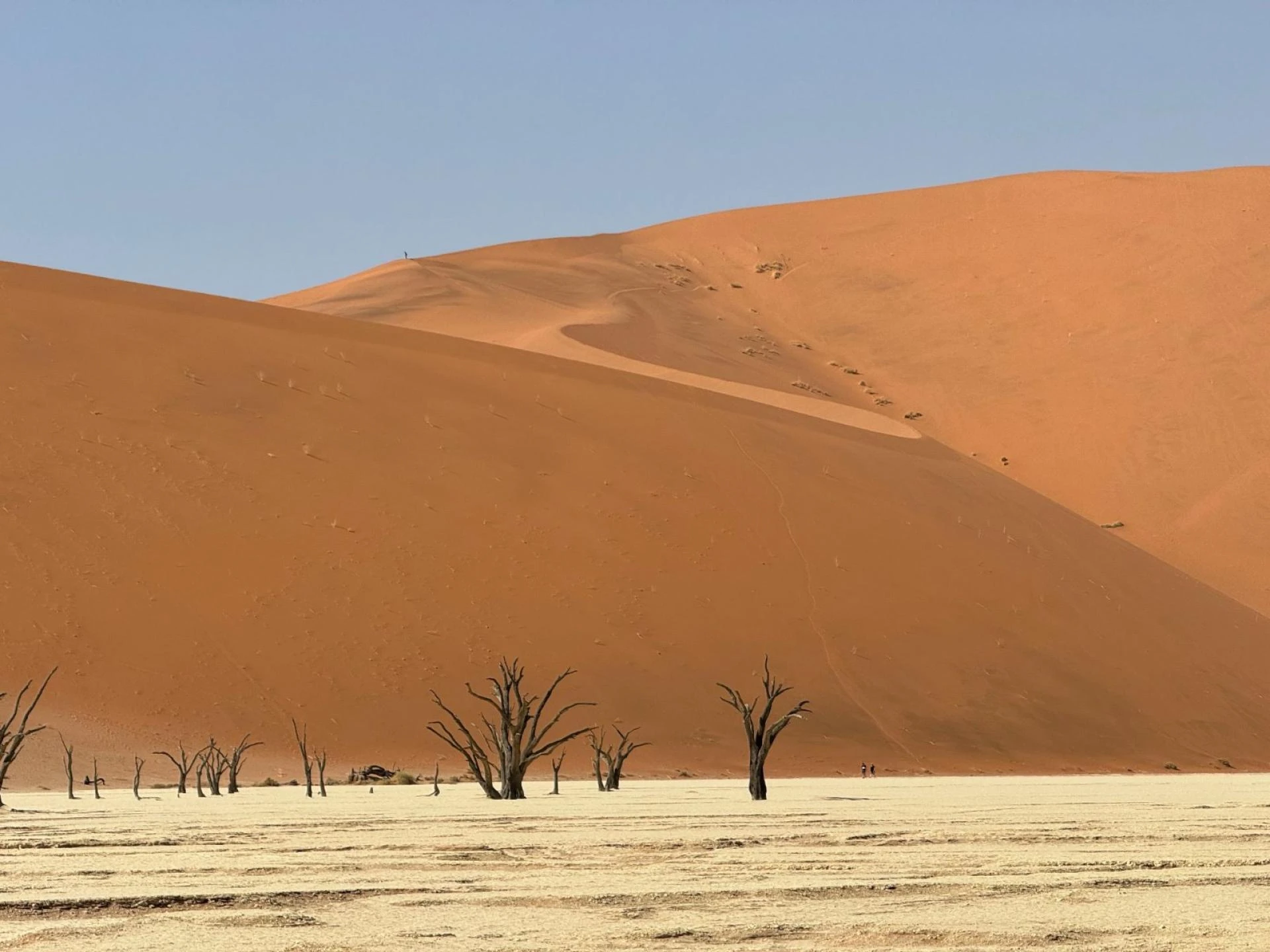 Namibia e-Visa for Slovakia Citizens – Online Application Guide