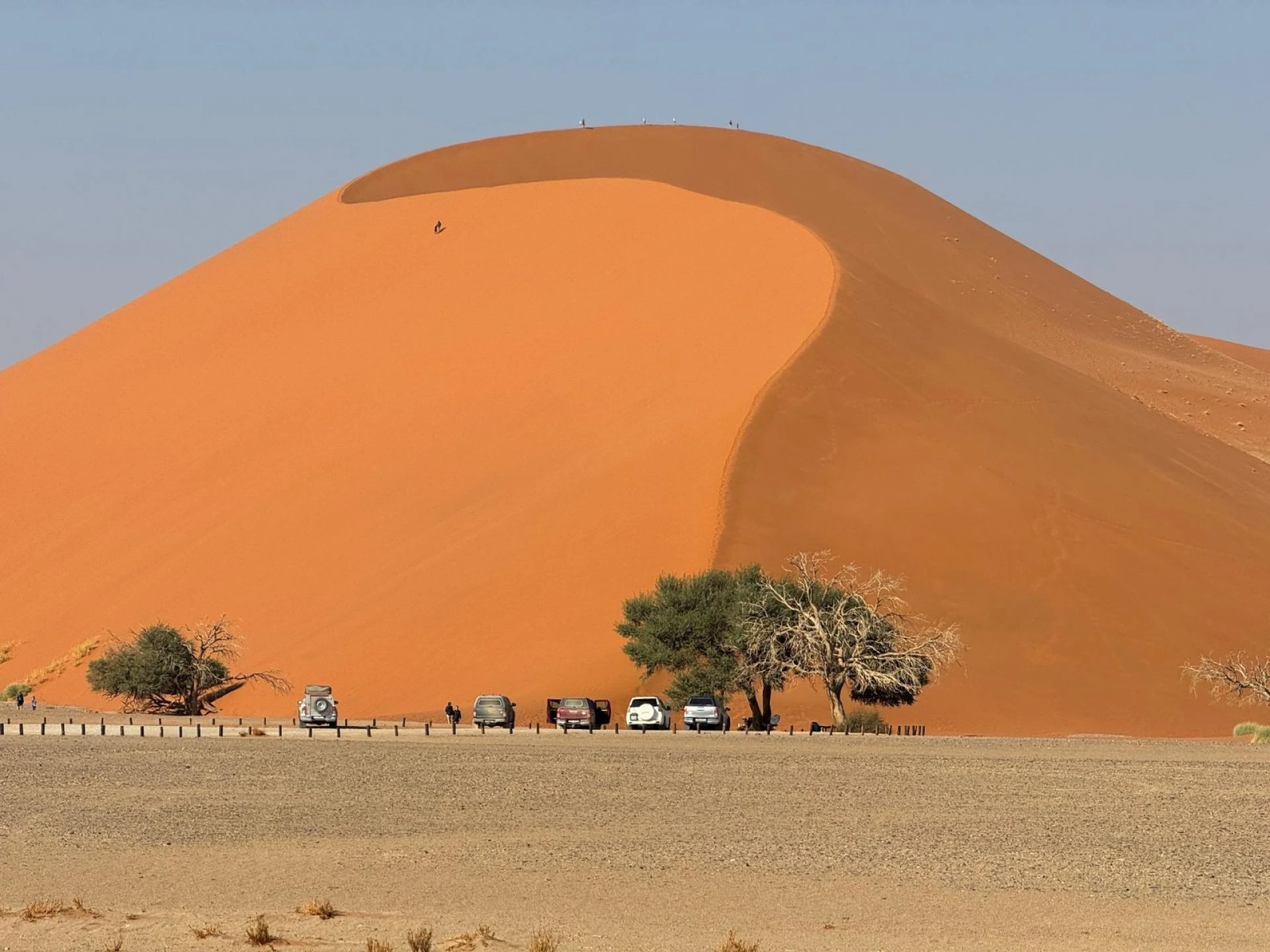 Namibia e-Visa for Spanish Nationals – Requirements & Apply Online