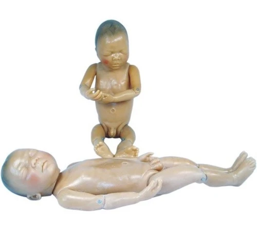 Buy Advanced Nursing Skills Lab Equipment in Karnataka at Best Prices