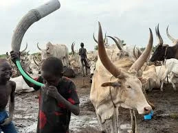 Best South Sudan Photography Tours for Cultural and Wildlife Shots