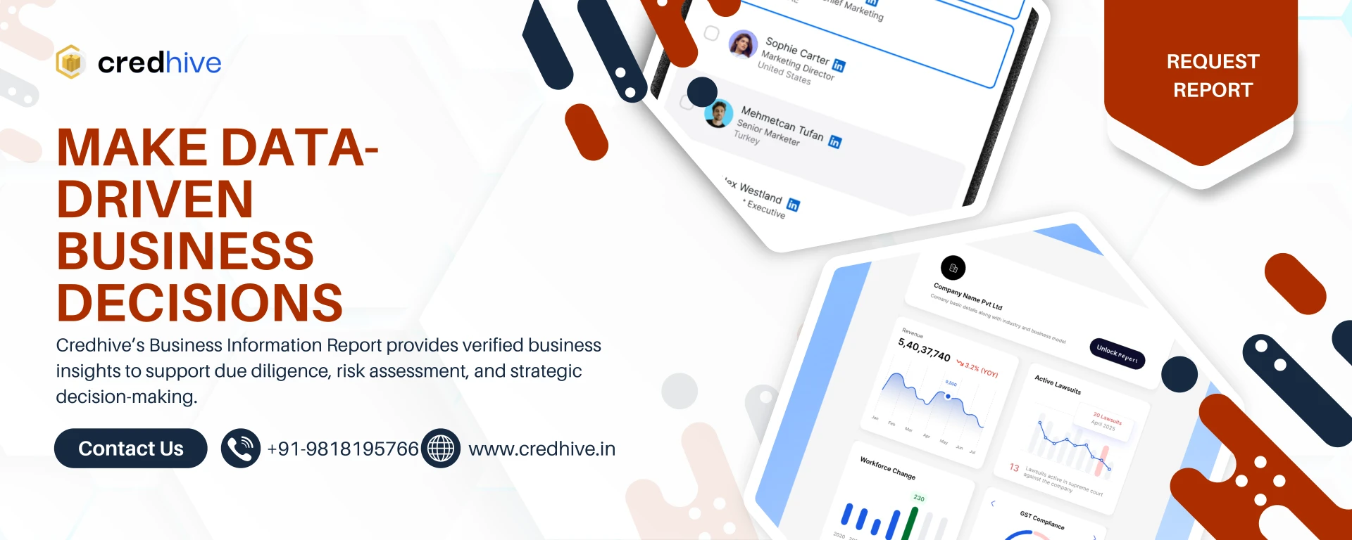 Business Information Report: A Complete Guide