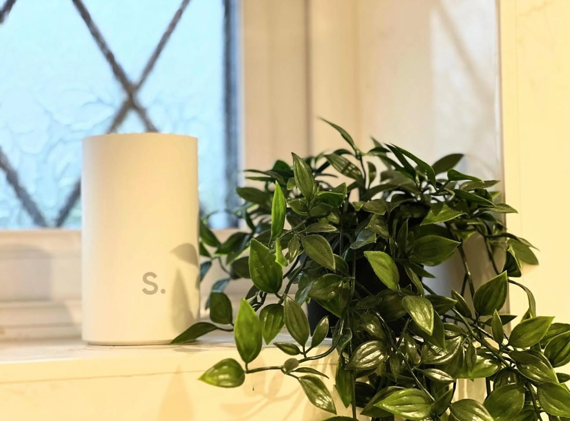 Aromatherapy Oil Diffuser Guide: Finding the Right Room Diffuser for Your Home