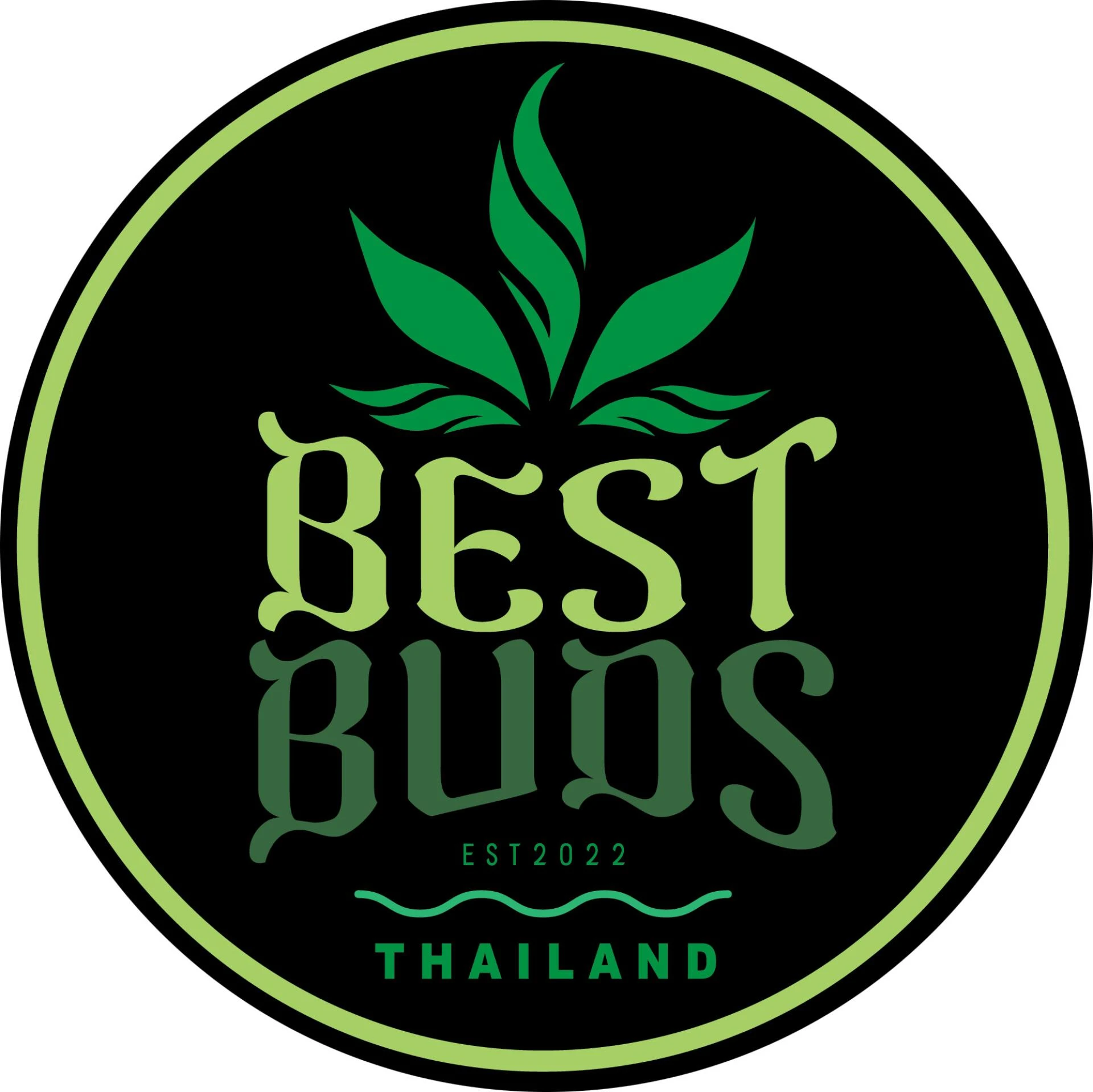 Premium Cannabis Dispensary in Bangkok for Quality Bangkok Cannabis