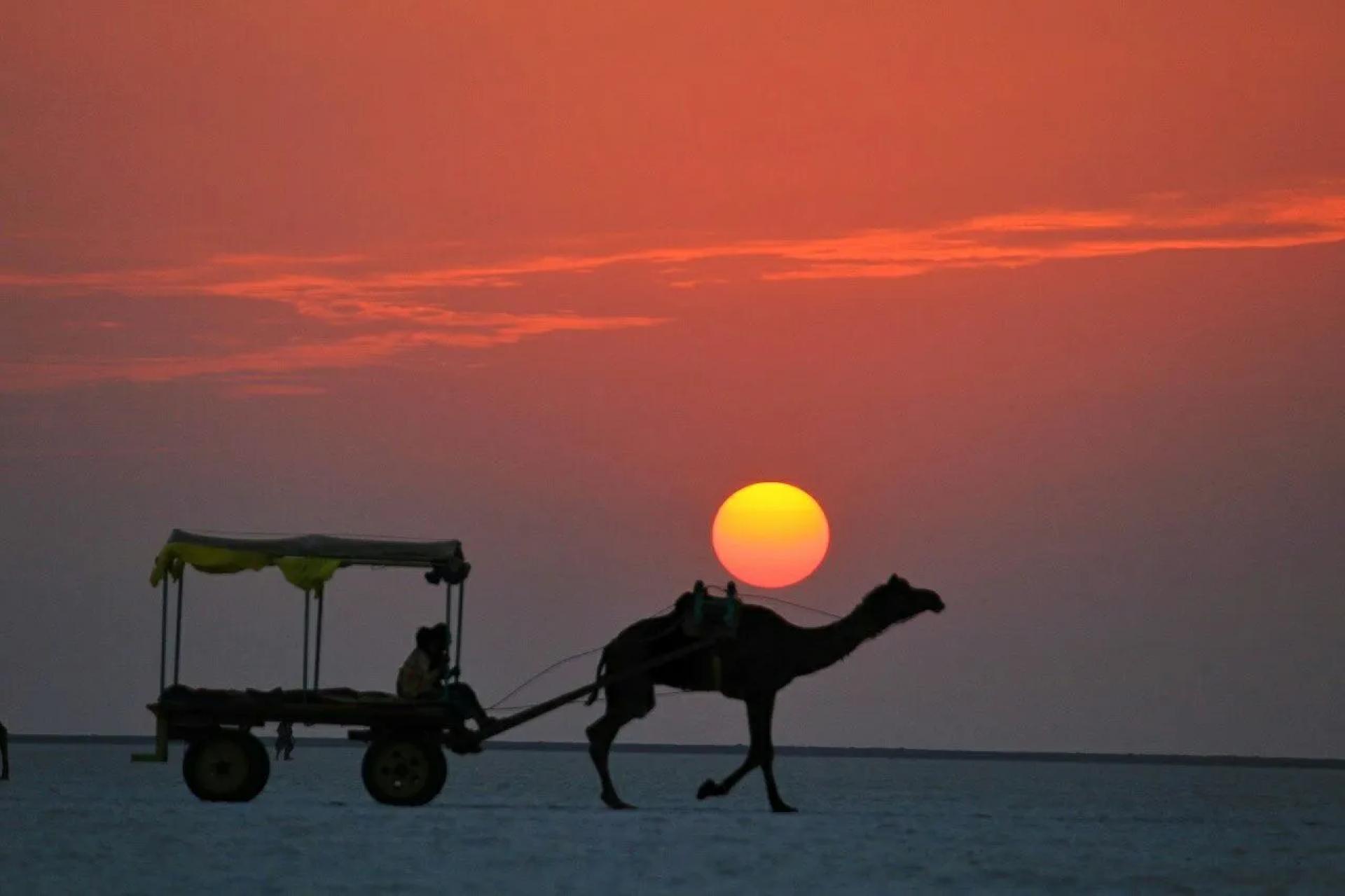 Best 5 Places to Visit Near Rann Utsav