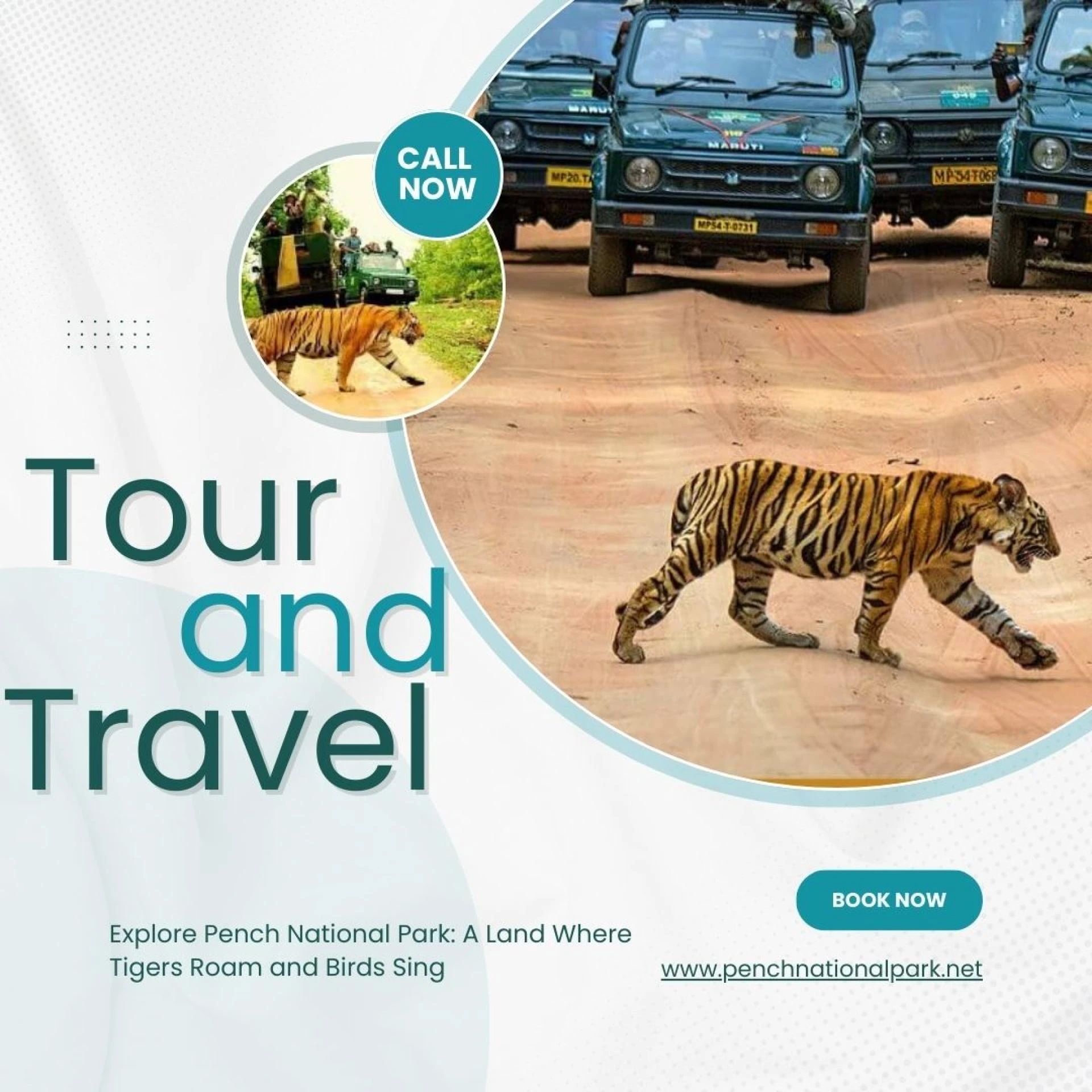 Explore the Wilderness: Best Pench National Park Resort for an Unforgettable Stay