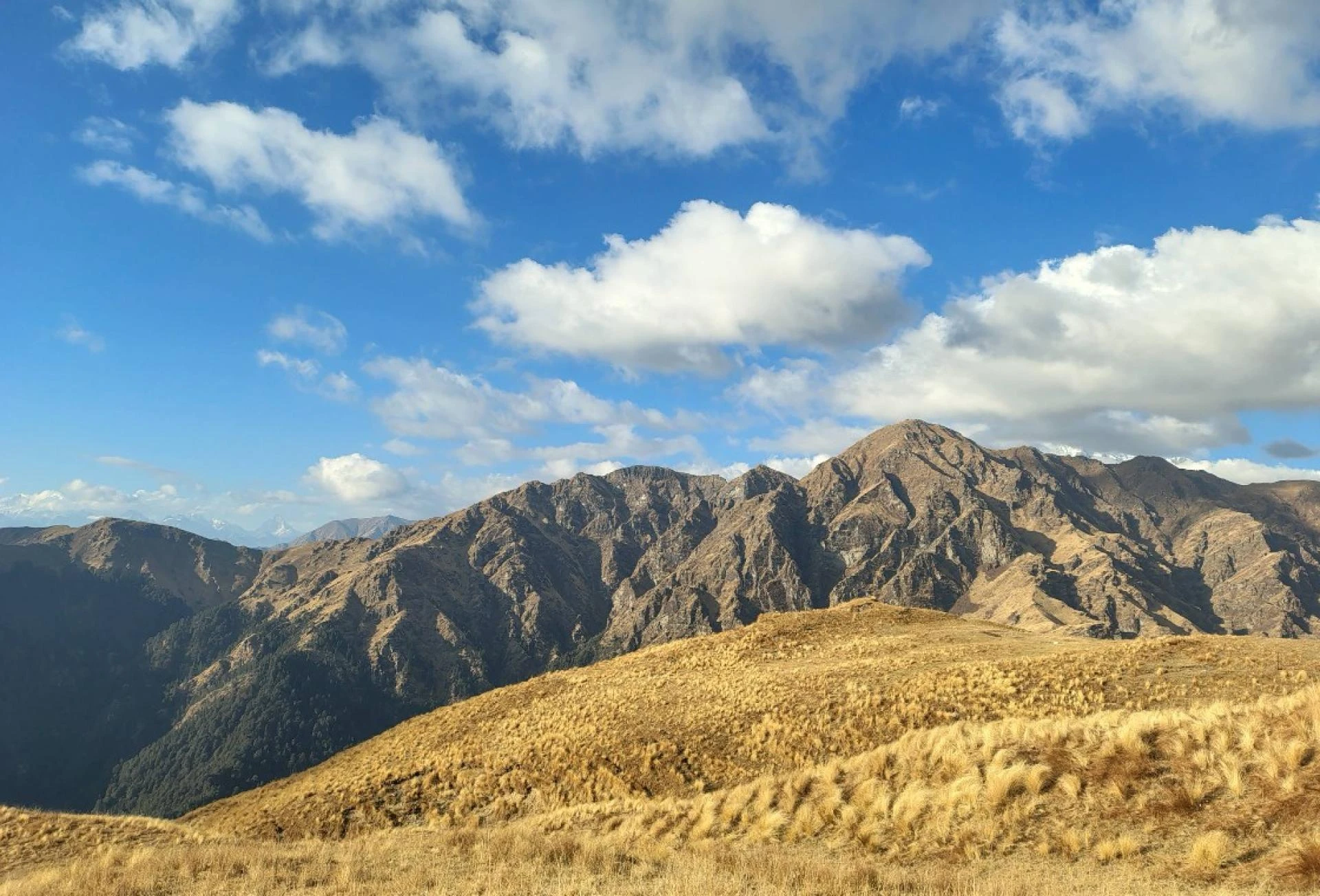 Best Time to Visit Ali Bedni Bugyal Trek