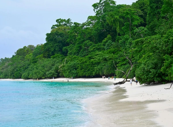 Overwater Villas vs. Beach Villas: What to Choose in the Maldives