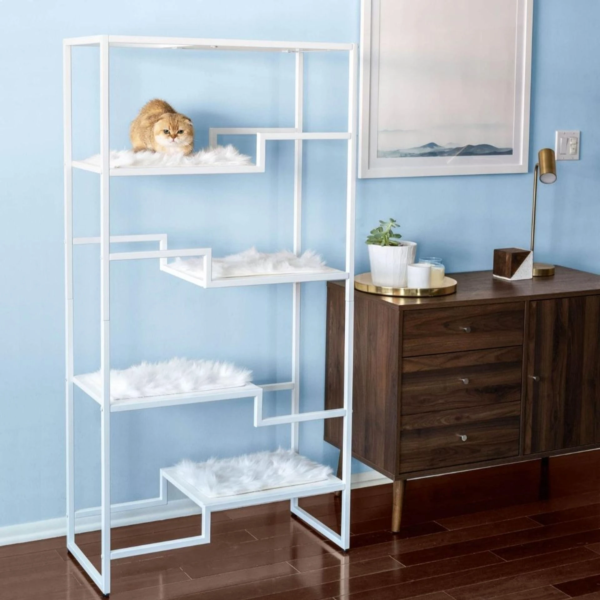 Modern Cat Trees: Enhance Your Cat's Space with Style | The Refined Feline