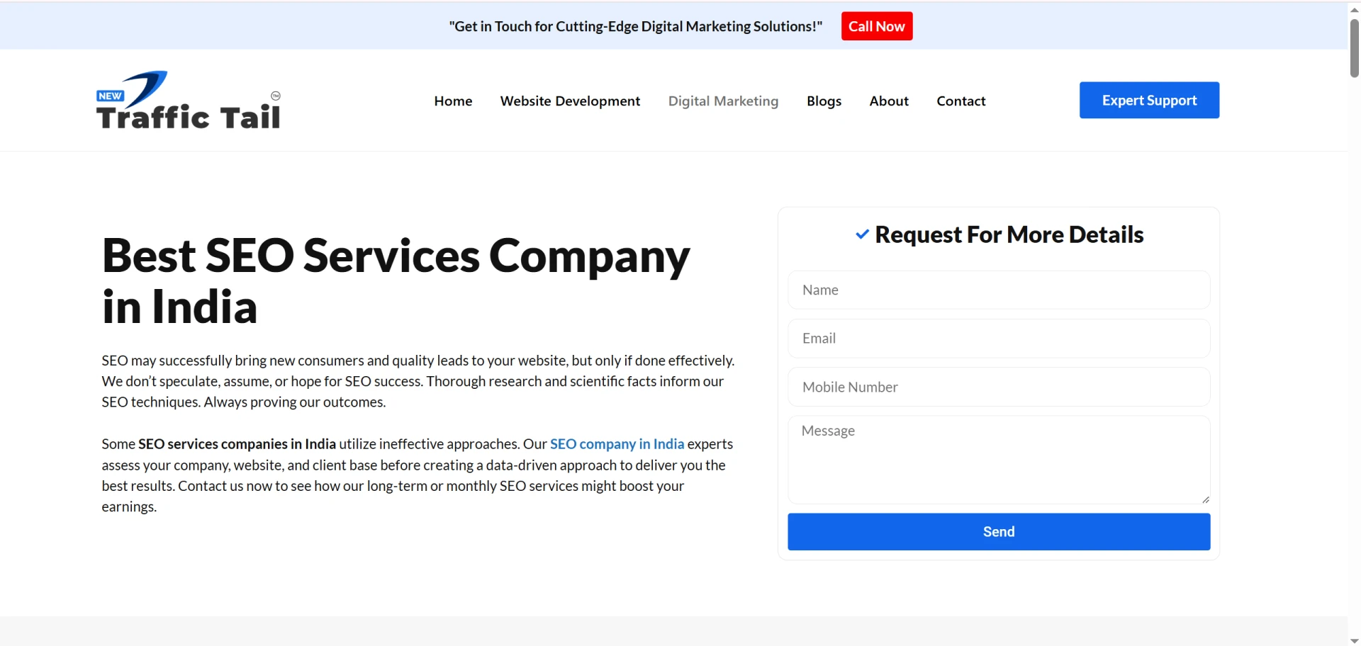 Best SEO Services Company in India