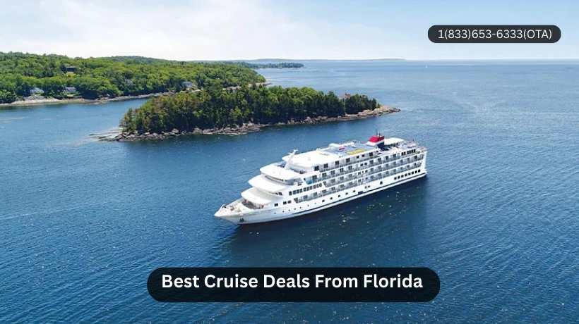 What Is The Best Cruise Line From Florida?